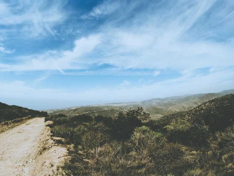 Must-Watch International Films featured image