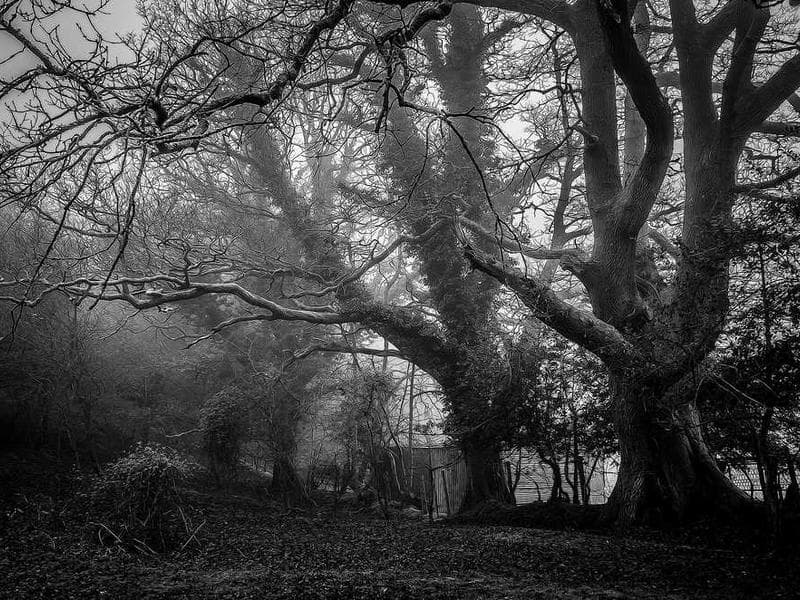 Top 10 Breakout Stars of the Year featured image