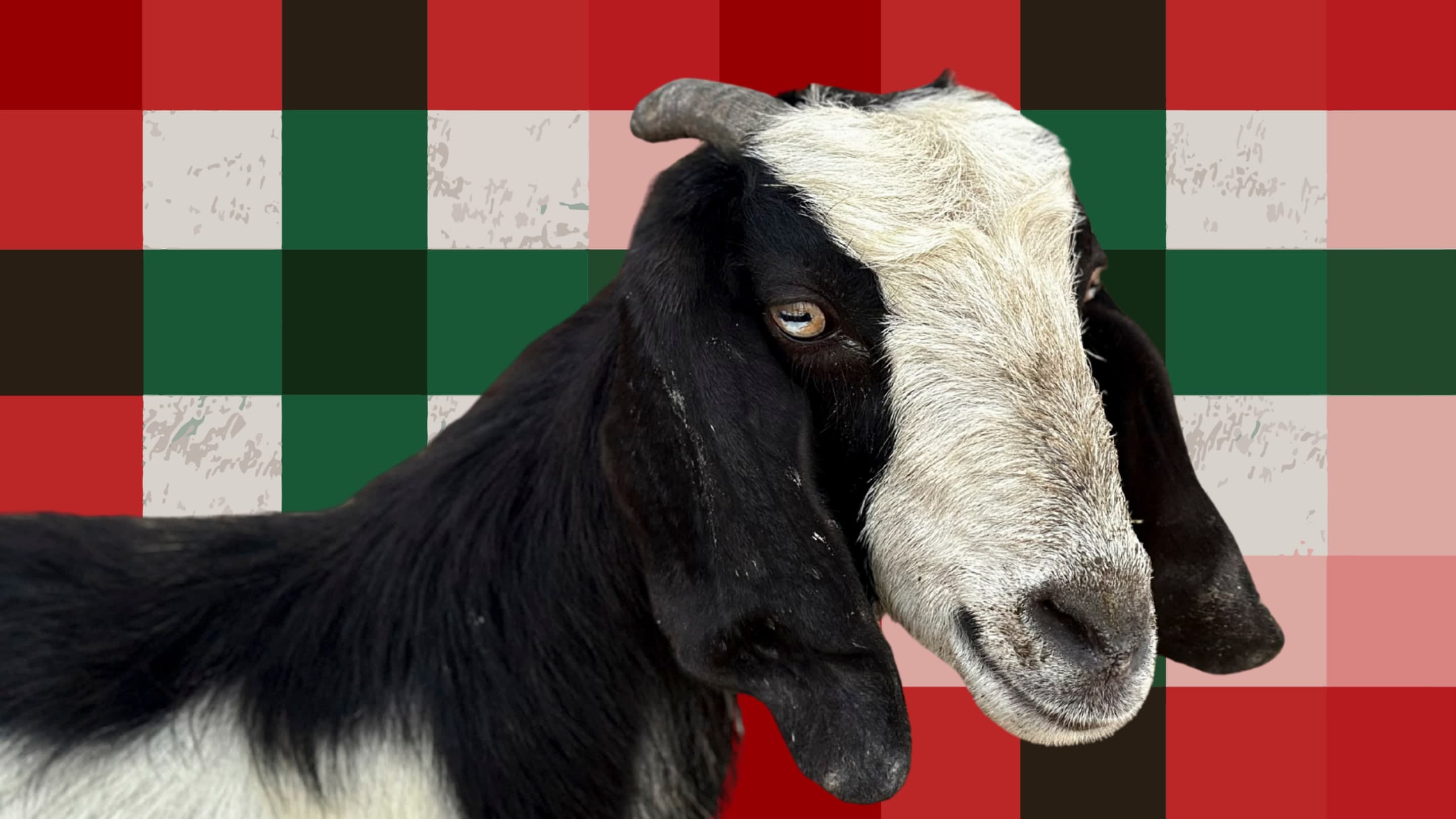 5 Christmas Superstitions You Probably Never Knew Existed