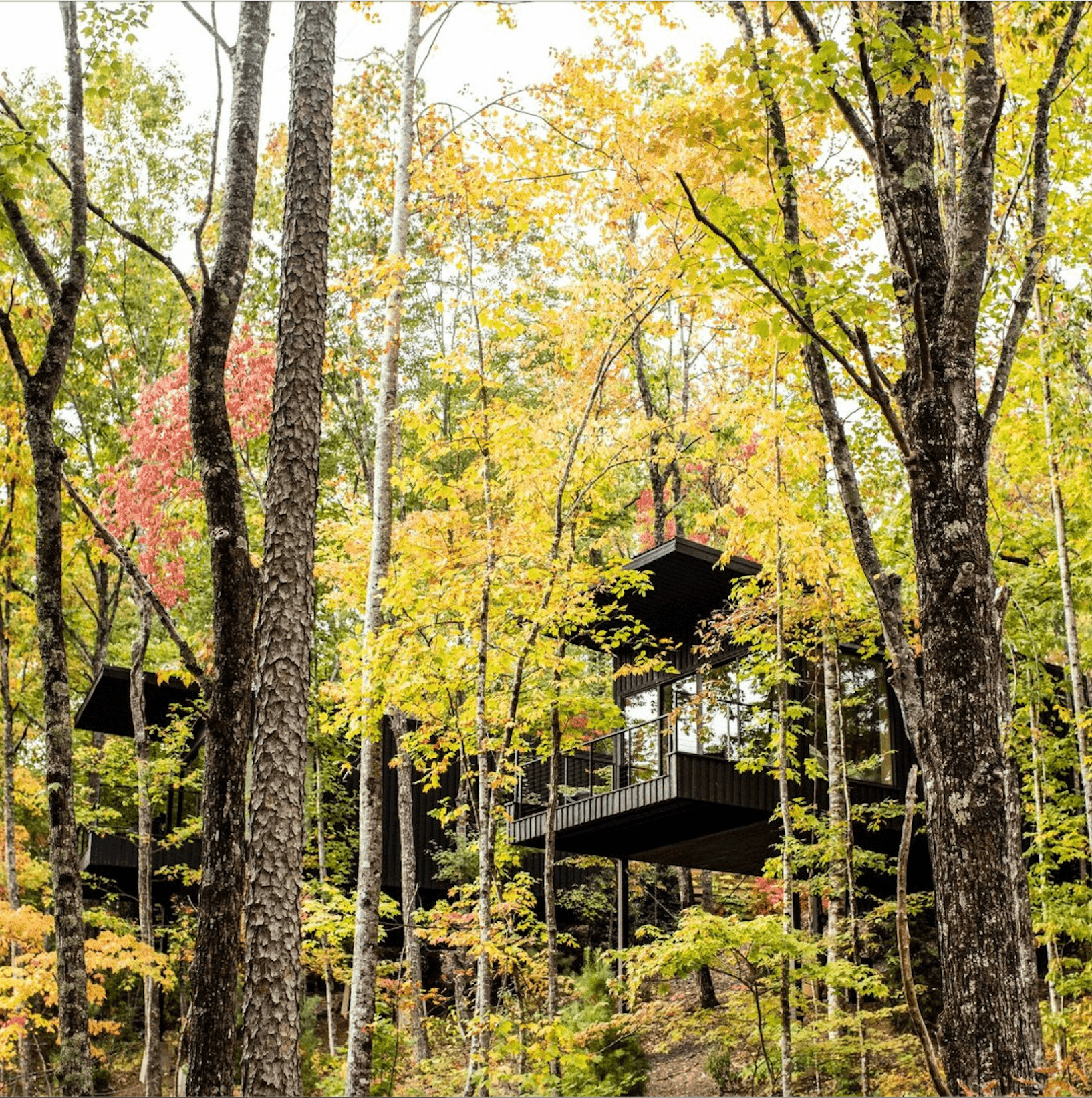 Inside Blackberry Mountain’s Art-Centered Approach to Wellness