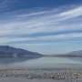 Ancient lake from ice age comes back to life in Death Valley after record rainfall