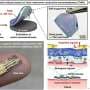 Ultra-thin nanomembrane device forms soft, seamless interface with living tissue