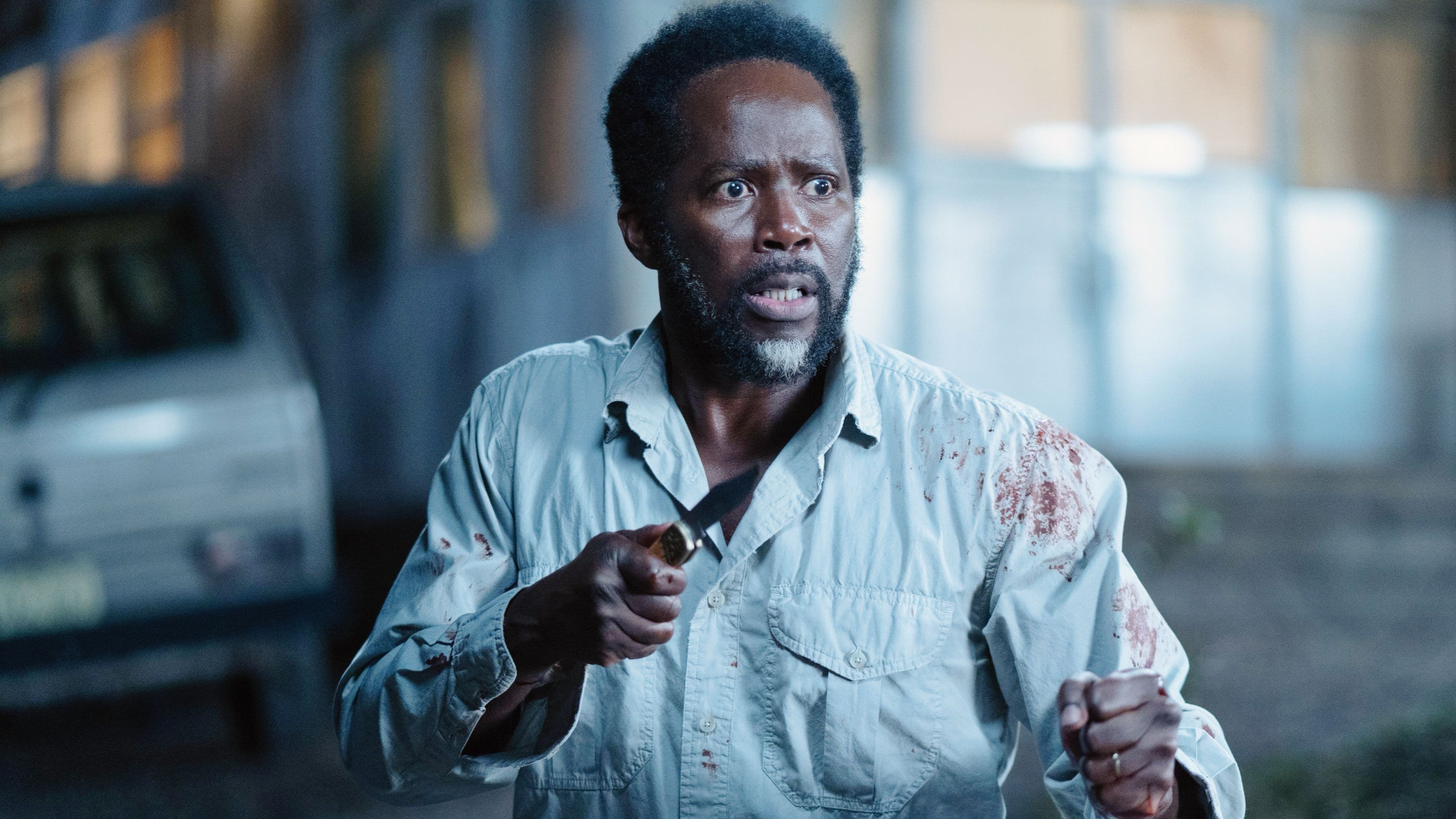 From Fills the Void Left by Netflix's Cancellation Of 1899